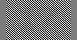 Optical illusion: There is a multi-digit number hidden in the image. Can you see it?